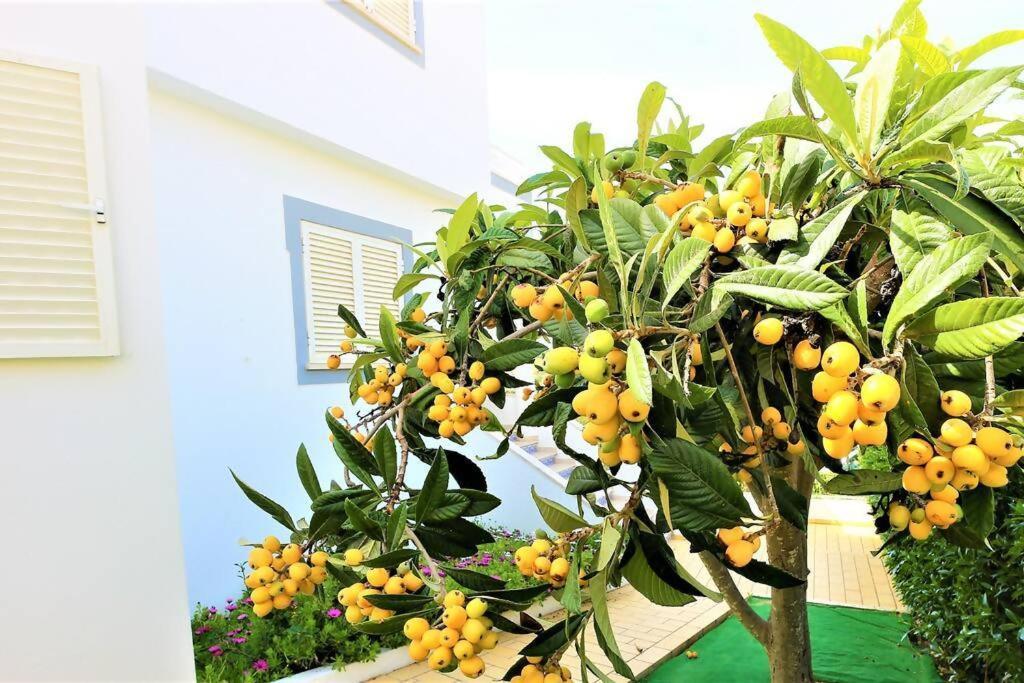Vila Ventura Marina Albufeira Exterior foto